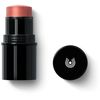 DR.HAUSCHKA Lip to Cheek 01 apricot