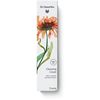 DR.HAUSCHKA Gesichtswaschcreme Frühjahr 2026